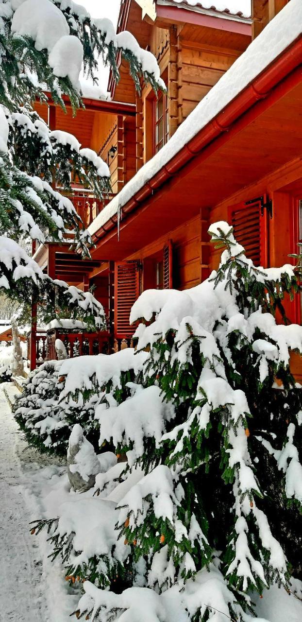 Bed & Breakfast Willa Nad Popradem Piwniczna-Zdroj
